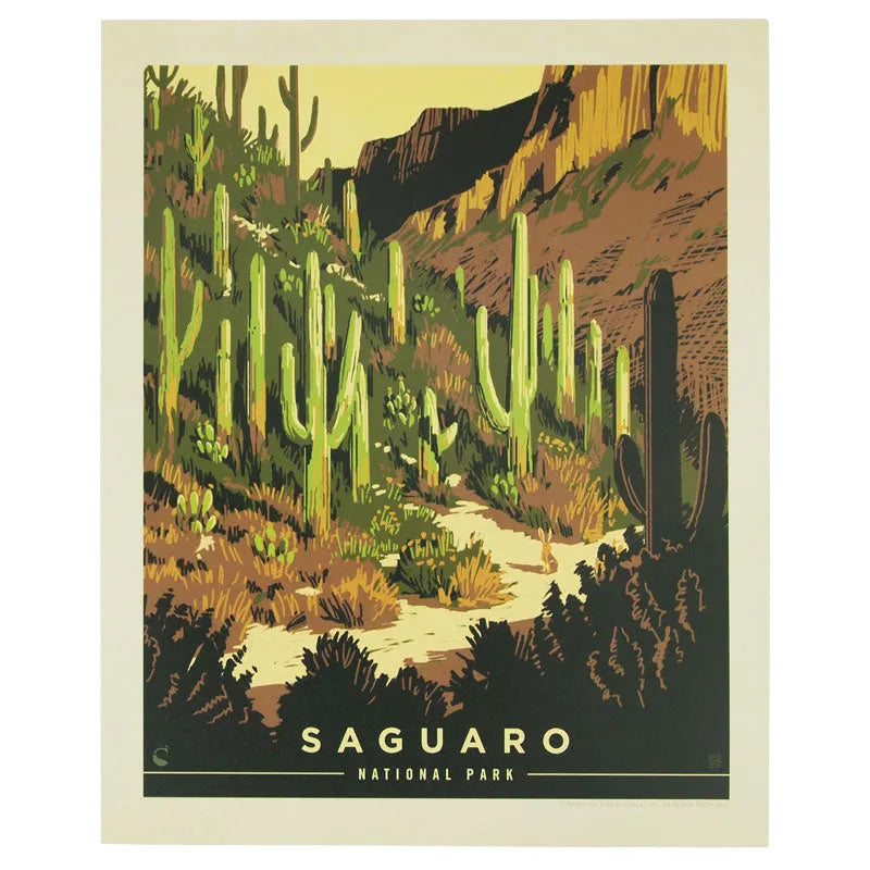 Saguaro National Park Desert Delight Print