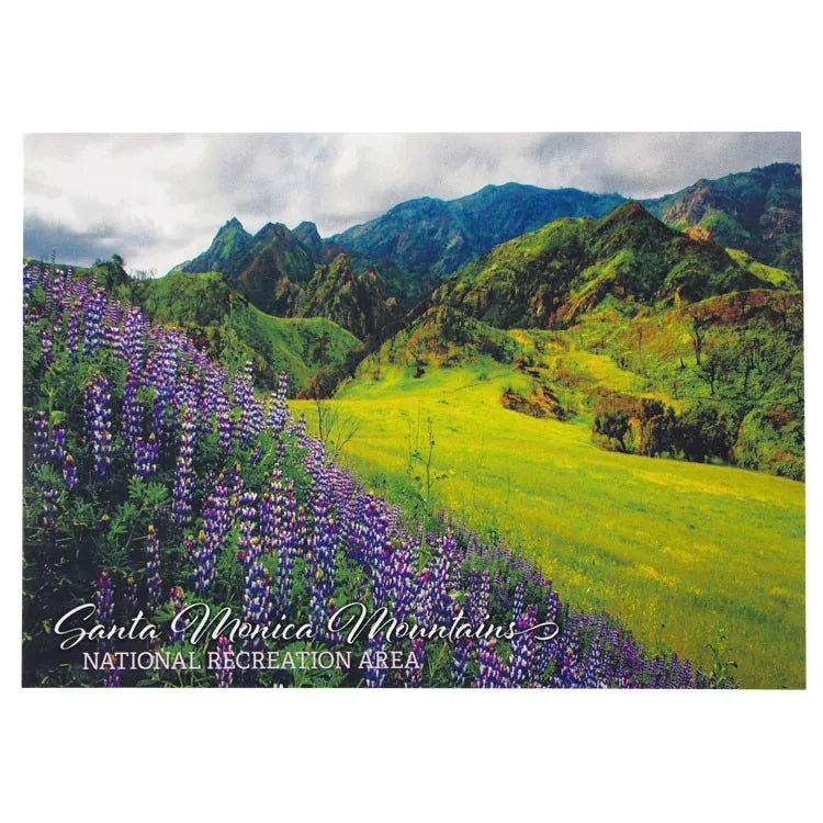 Santa Monica Mountains National Rec. Area Postcard - Yearling Meadow