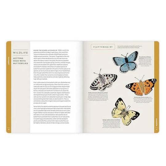 Scenic Science page detailing butterflies