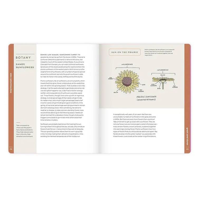 Scenic Science page on botany and sunflowers