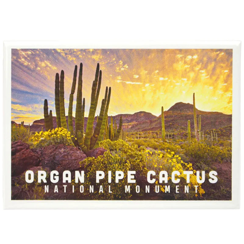 Organ Pipe Cactus National Monument Magnet - Sunset Photo