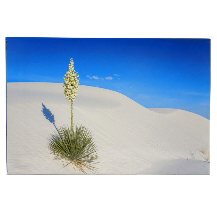 White Sands National Park Double Puzzle