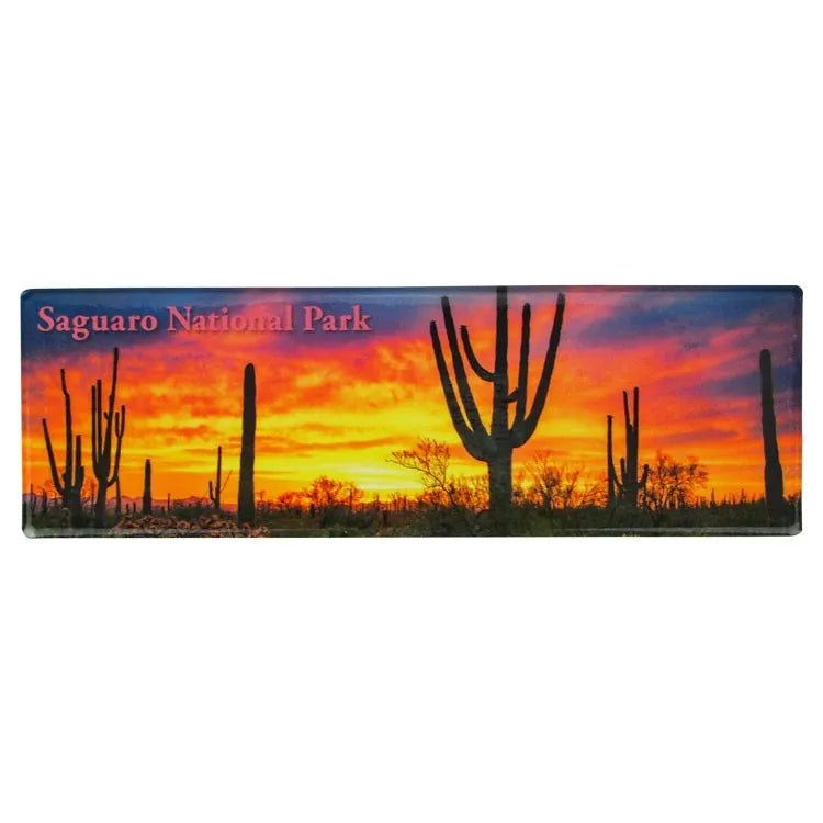 Saguaro National Park Magnet - Sunset Panorama