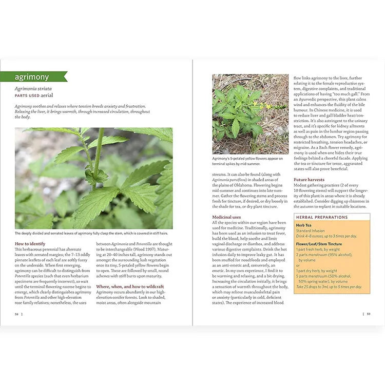 Southwest Medicinal Plants by John Slattery interior pages