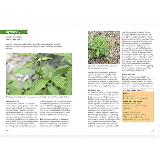 Southwest Medicinal Plants by John Slattery interior pages