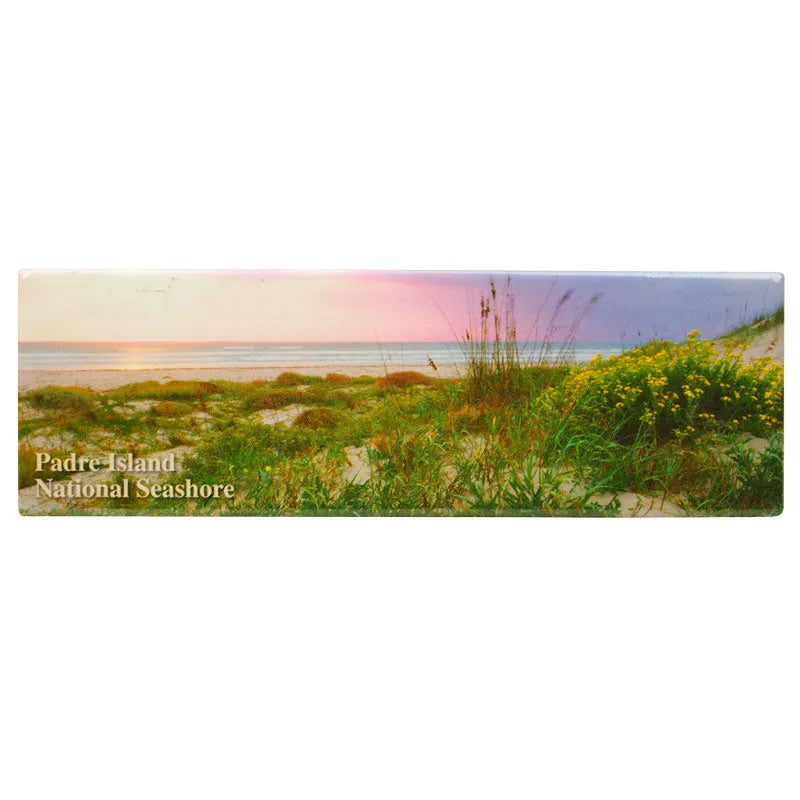 Padre Island National Seashore Magnet - Panoramic