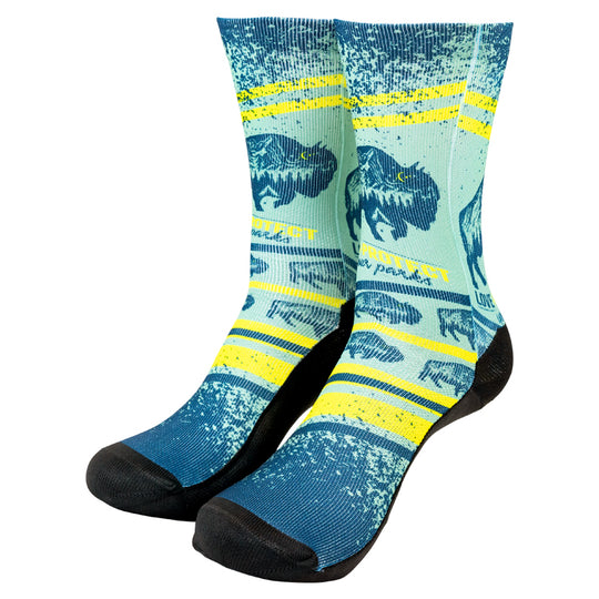 Love + Protect Your Parks® Socks