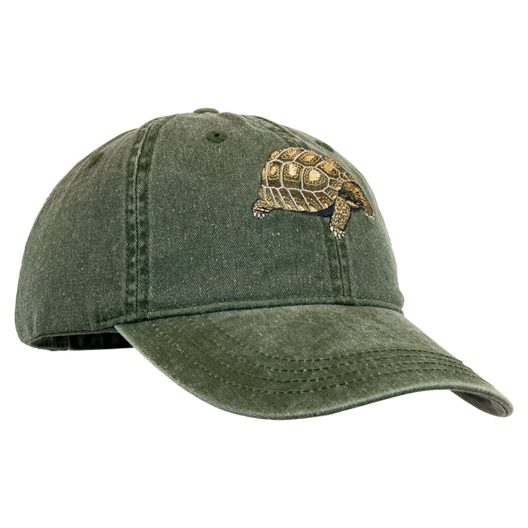 Desert Tortoise Embroidered Cap: Celebrate Resilience