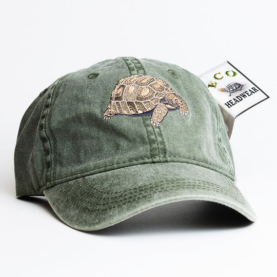 Desert Tortoise Ball Cap