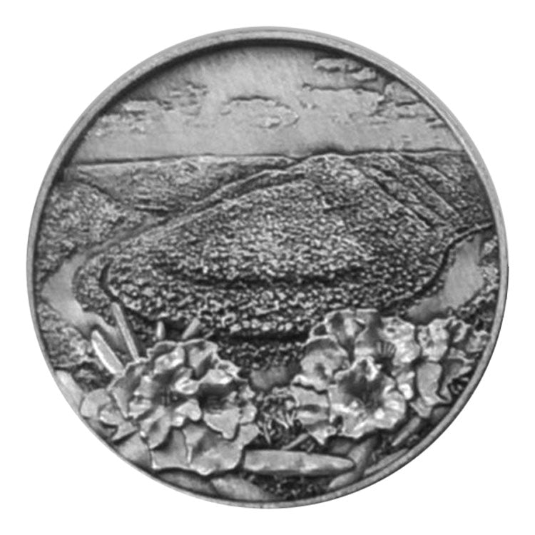 New River Gorge National Park Collectible Token - Sandstone Falls