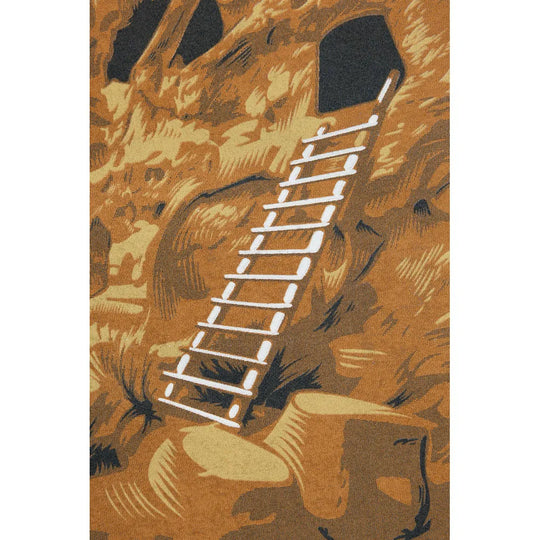 Closeup of graphic with a ladder design on a desert-themed background