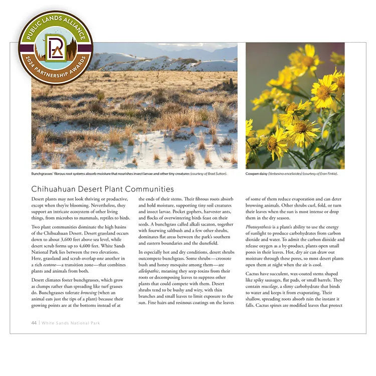 White Sands National Park Book interior page 44