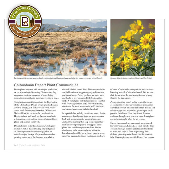 White Sands National Park Book interior page 44