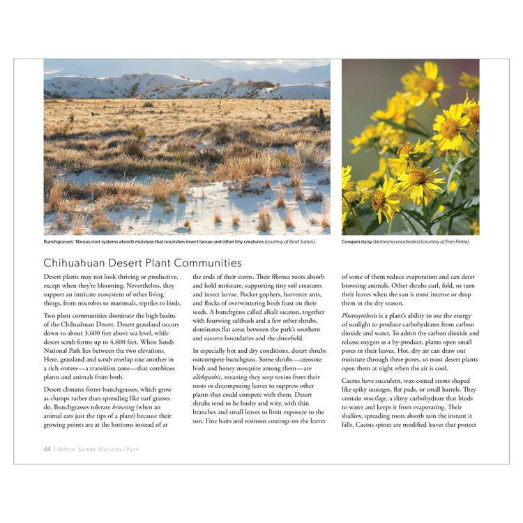 White Sands National Park Book