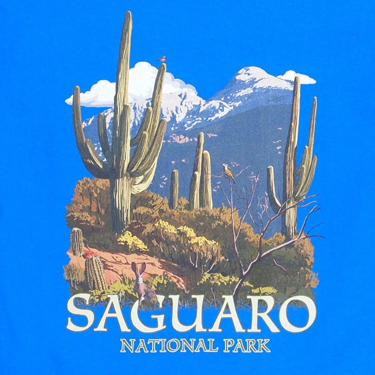 Saguaro National Park Rincon Peak Youth T-Shirt