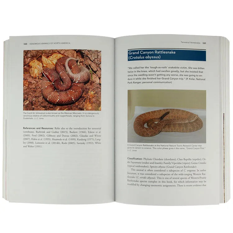 Venomous Animals of the United States and Canada by Lawrence L. C. Jones interior pages about the Grand Canyon Rattlesnake