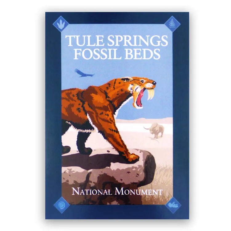 Tule Springs Fossil Beds National Monument Postcard