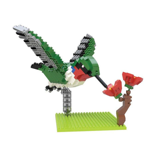 Hummingbird mini block set against a white background
