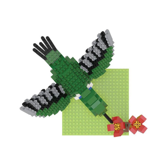 Hummingbird mini block set against a white background
