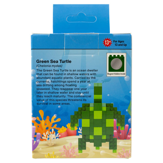 Box back packaging of a green sea turtle toy with educational text on an underwater scene.