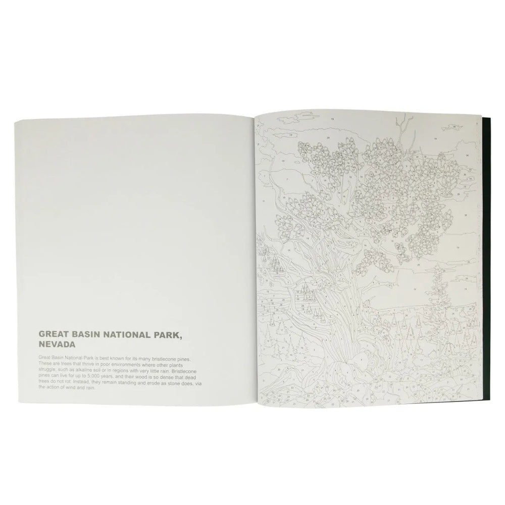 National Parks Color-By-Number interior page featuring Great Basin National Park