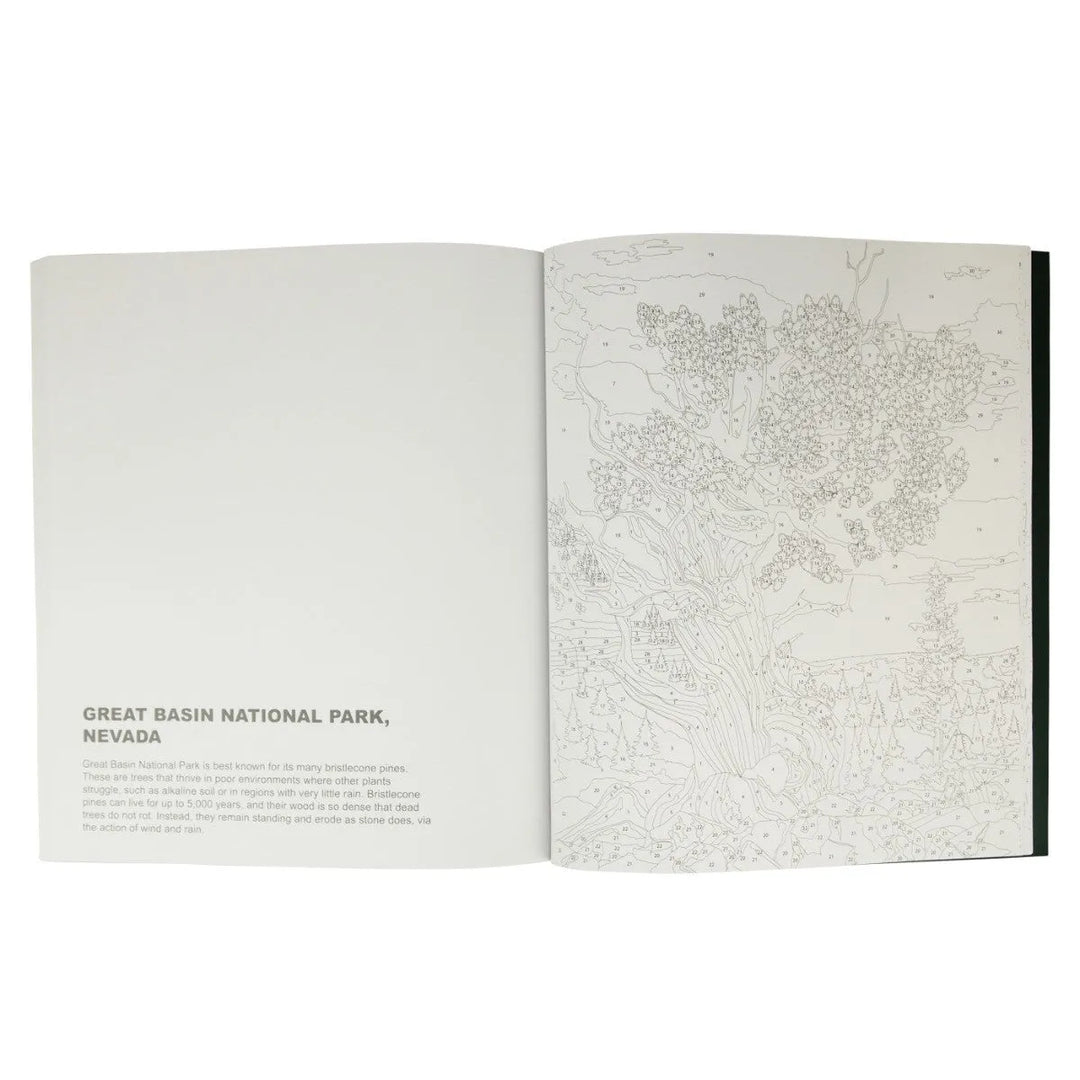 National Parks Color-By-Number interior page featuring Great Basin National Park
