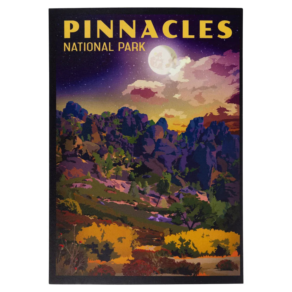 Pinnacles National Park Postcard - Retro Ranger Night Sky