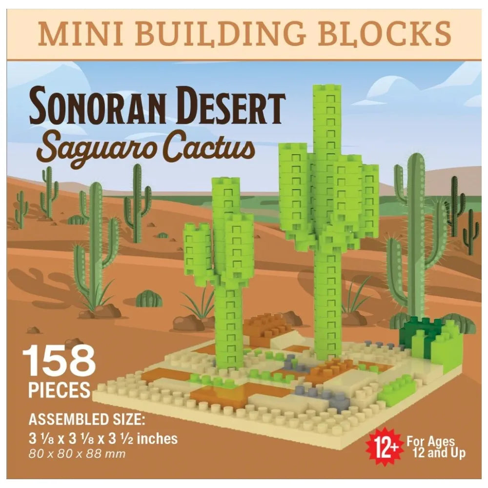 Box of Sonoran Desert Saguaro Cactus building blocks with desert landscape illustration