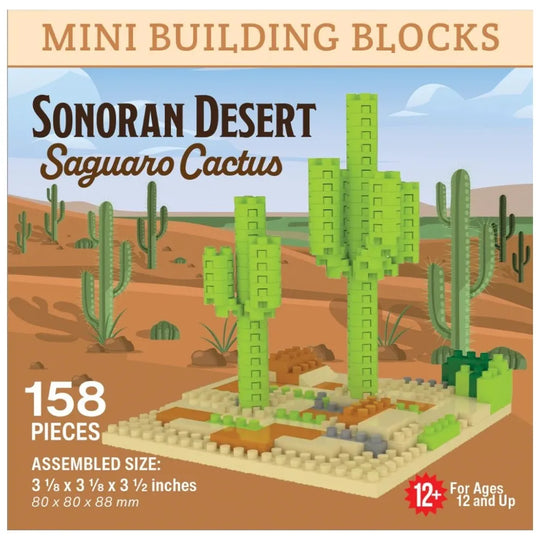 Box of Sonoran Desert Saguaro Cactus building blocks with desert landscape illustration