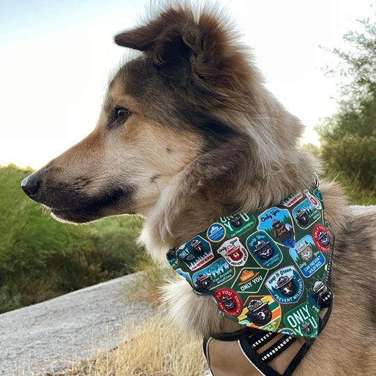 Smokey Bear Pet Bandana