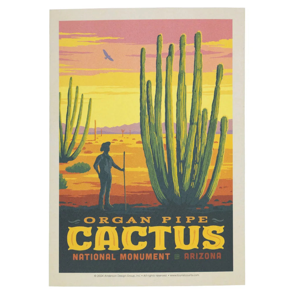 Organ Pipe Cactus National Monument Postcard - ADG Graphic