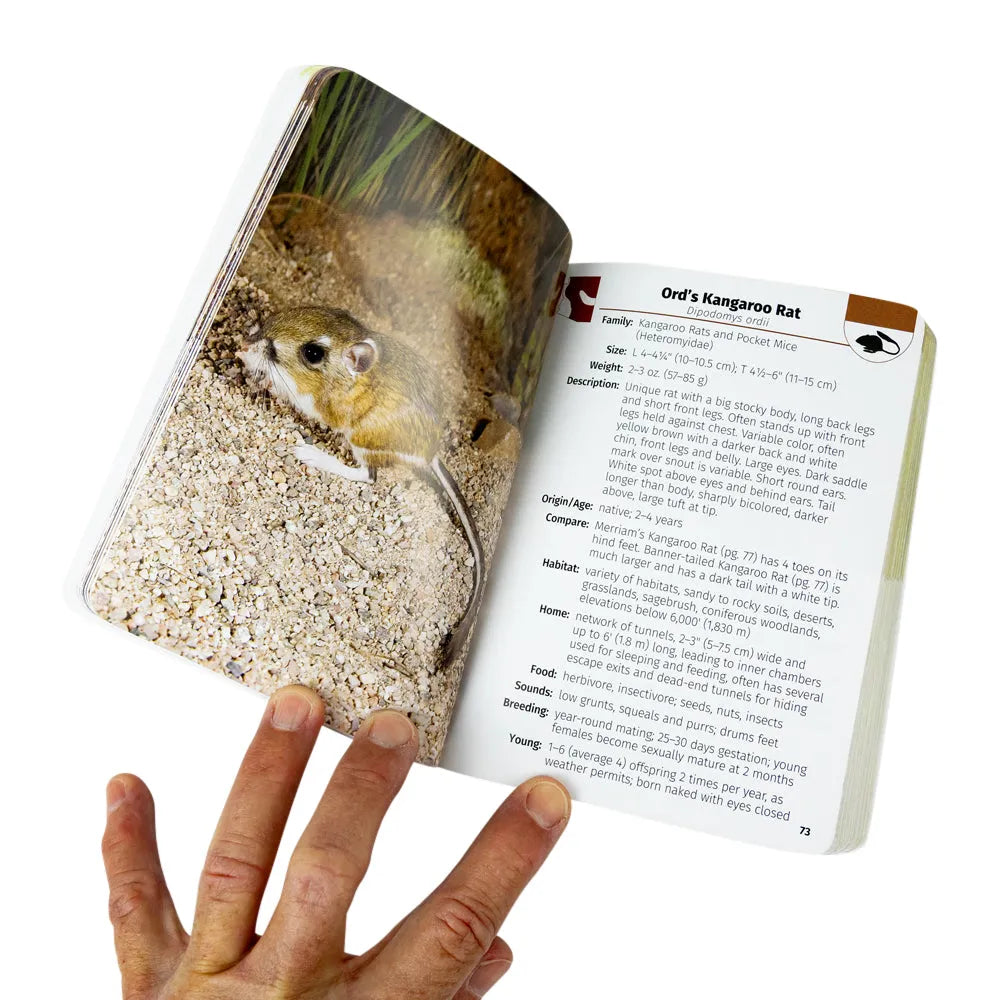An open printed book or booklet showing a large photograph of an Ord&