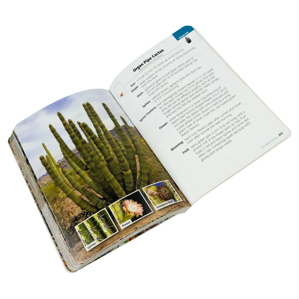 Cacti of Arizona Field Guide - 2nd Edition interior pages with organ pipe cactus