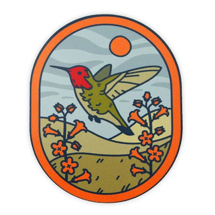 Animals of the Southwest Anna's Hummingbird Sticker