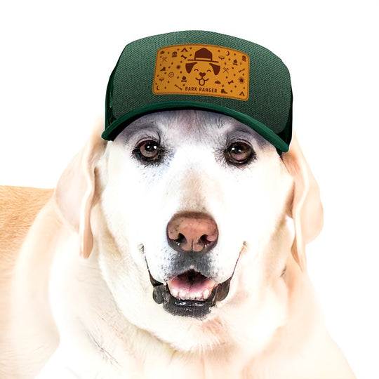 Bark Ranger Dog Cap