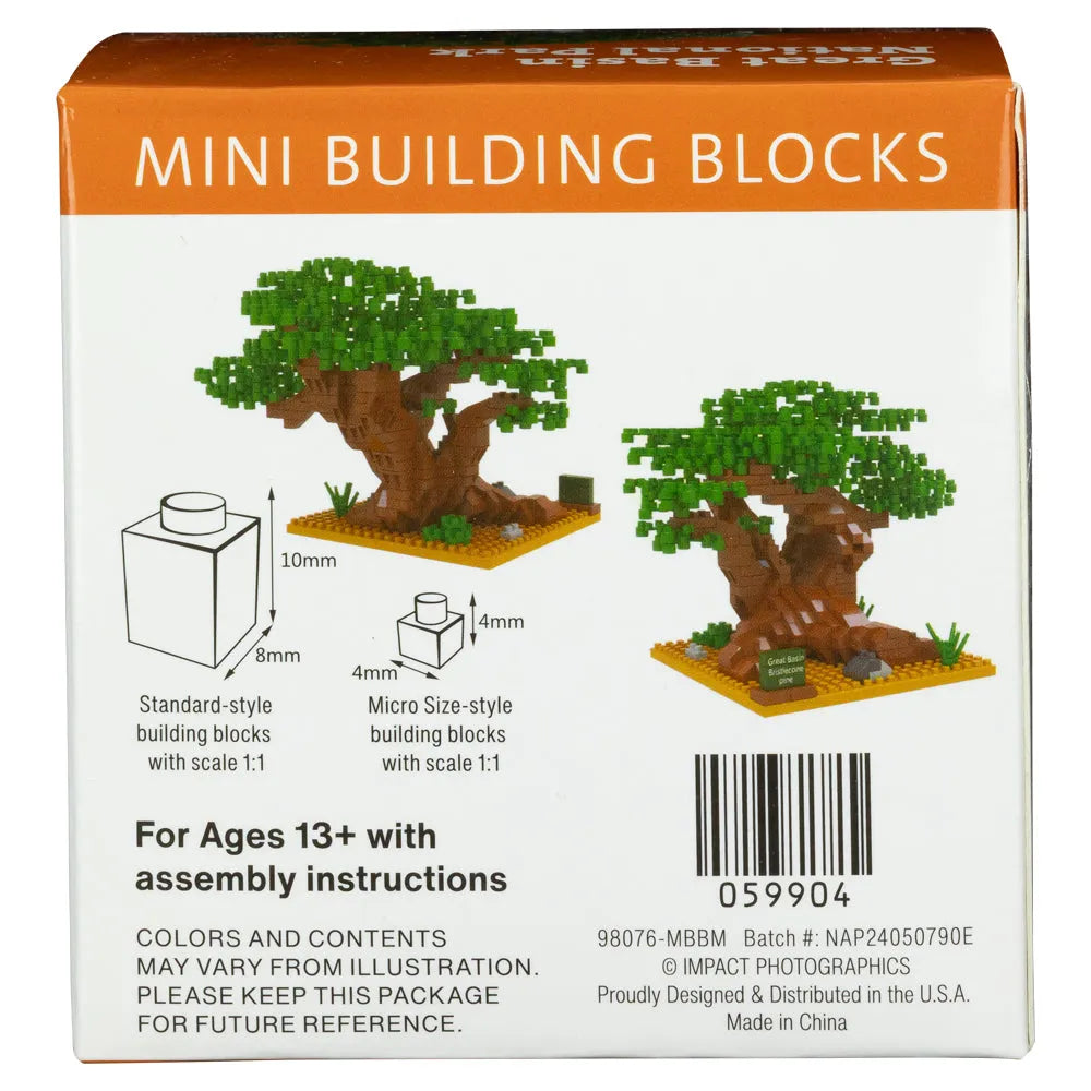 Great Basin National Park Bristlecone Pine Mini Block Set Box Back