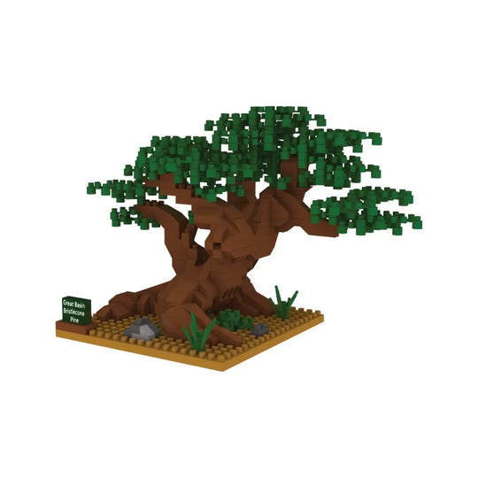 Great Basin National Park Bristlecone Pine Mini Block Set