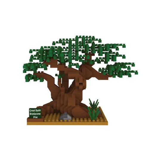 Great Basin National Park Bristlecone Pine Mini Block Set