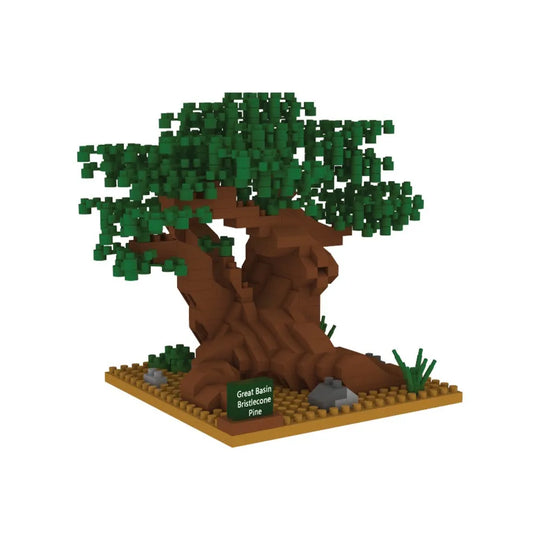 Great Basin National Park Bristlecone Pine Mini Block Set