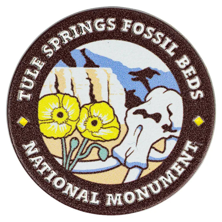 Tule Springs Fossil Beds National Monument Pin - Round Logo