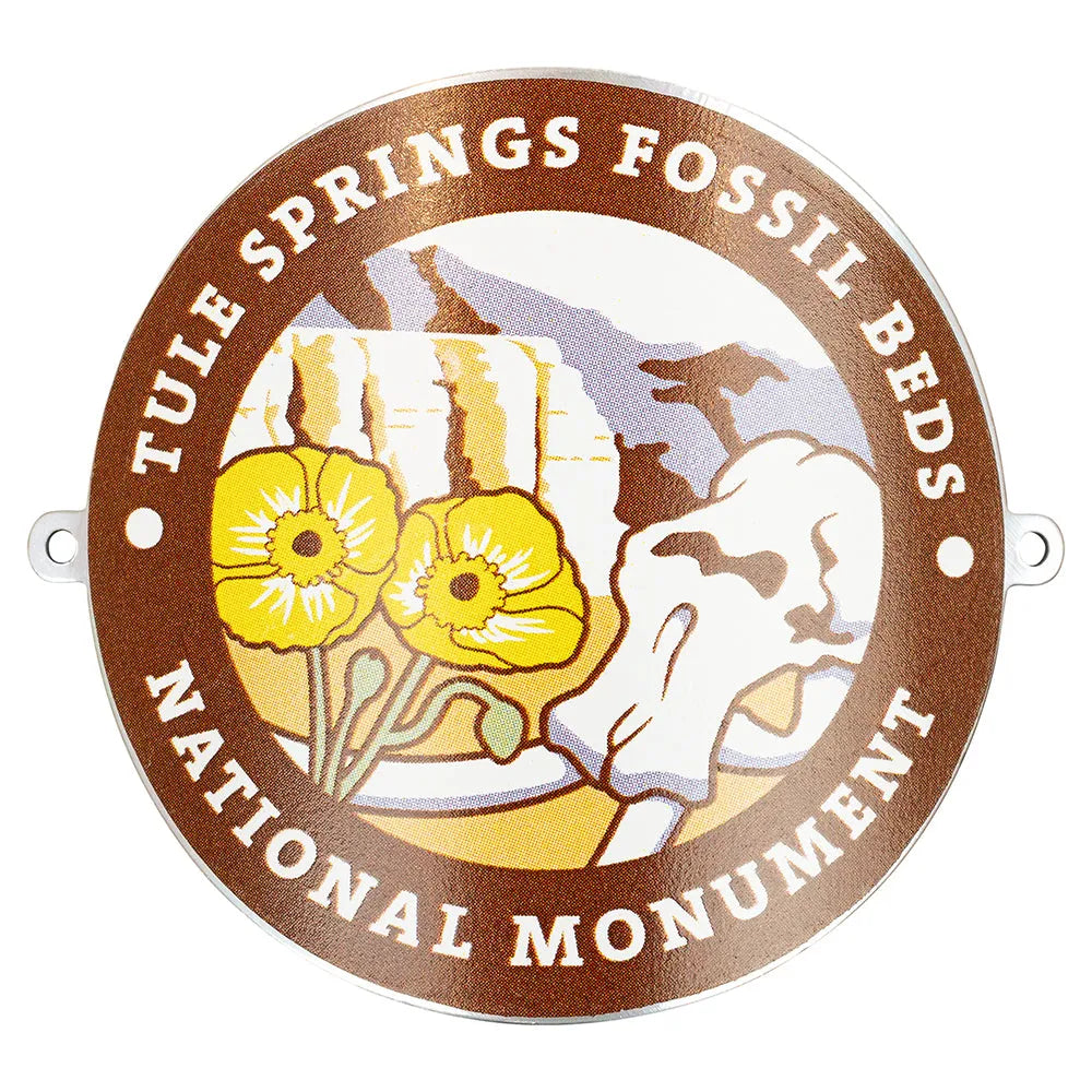 4B 　FOSSIL natural154cm カービング・バッジテスト Tule Springs Fossil Beds Hiking Stick Medallion | For Collectors