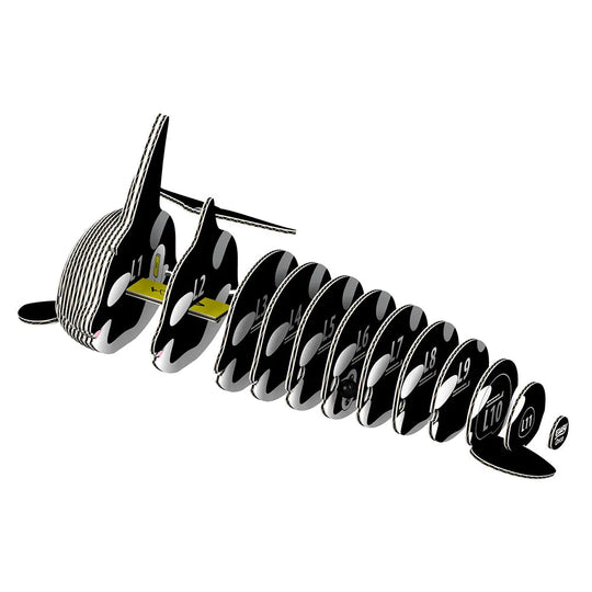 3D puzzle pieces of an Orca Whale arranged in a linear pattern on a white background.