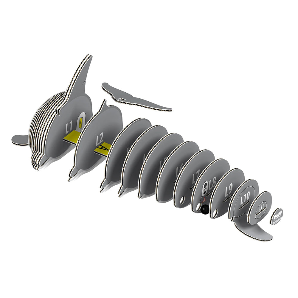 3D puzzle pieces of a Dolphin arranged in a linear pattern on a white background.