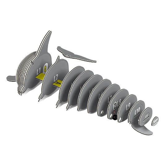 3D puzzle pieces of a Dolphin arranged in a linear pattern on a white background.