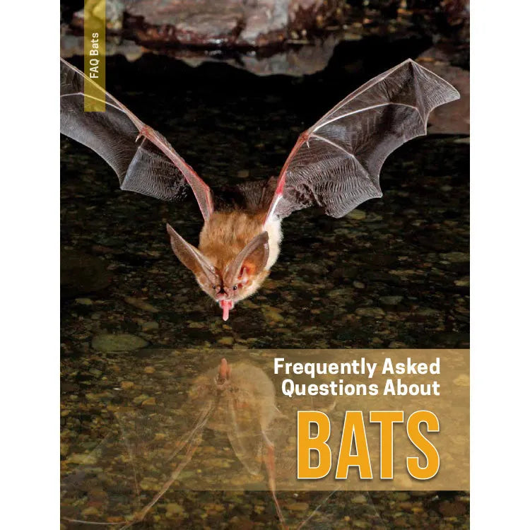 Frequently Asked Questions About Bats - 2nd Edition Front Cover