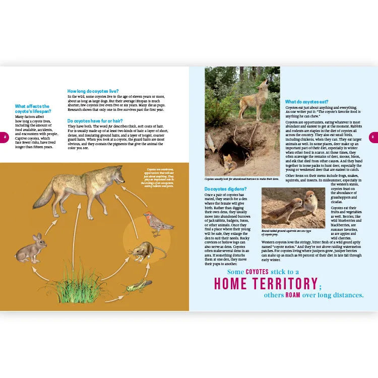 Frequently Asked Questions About Coyotes - 2nd Edition Interior Pages 1