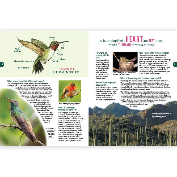 Frequently Asked Questions About Hummingbirds - 2nd Edition Interior Pages 1