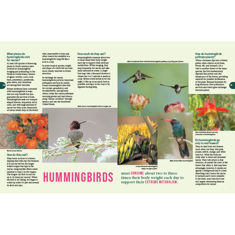 Frequently Asked Questions About Hummingbirds | WNPA - Western