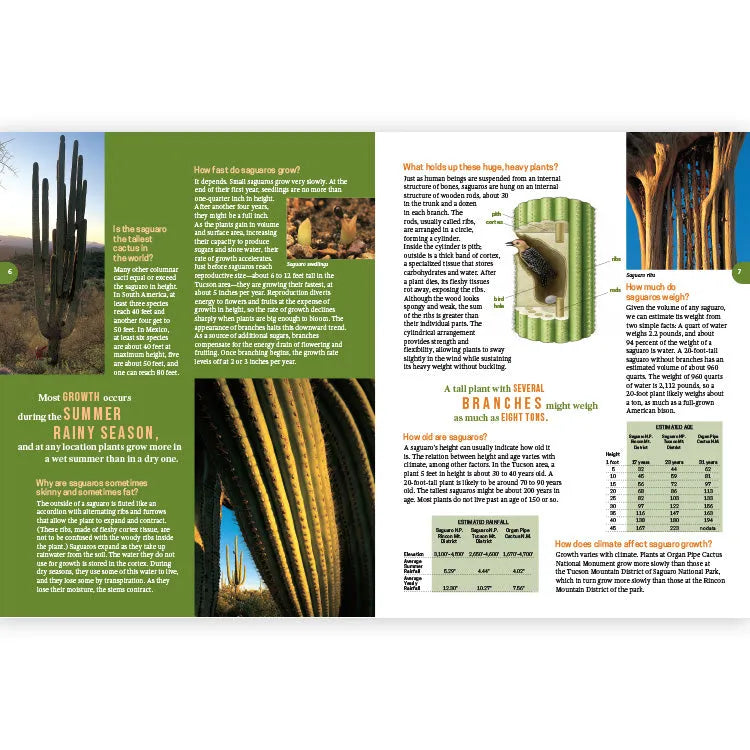 Frequently Asked Questions About the Saguaro - 2nd Edition Interior Pages 1