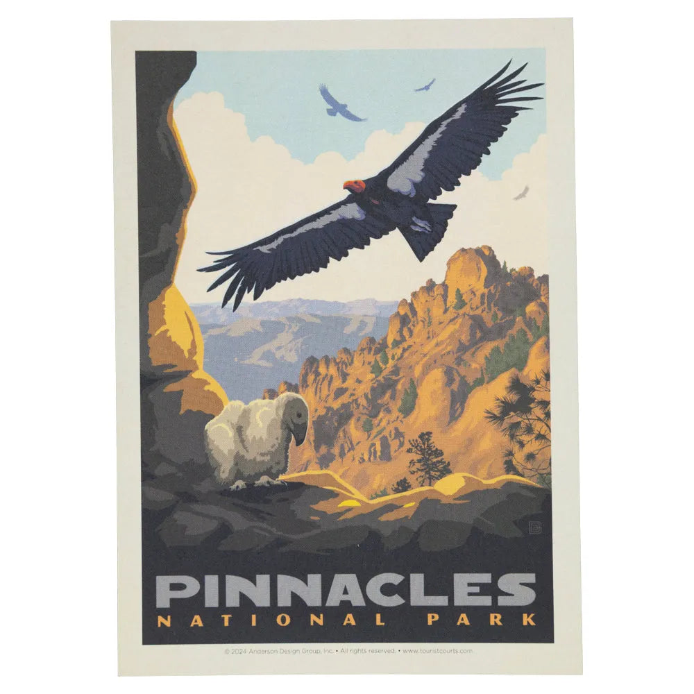 Pinnacles National Park Postcard - ADG Condor